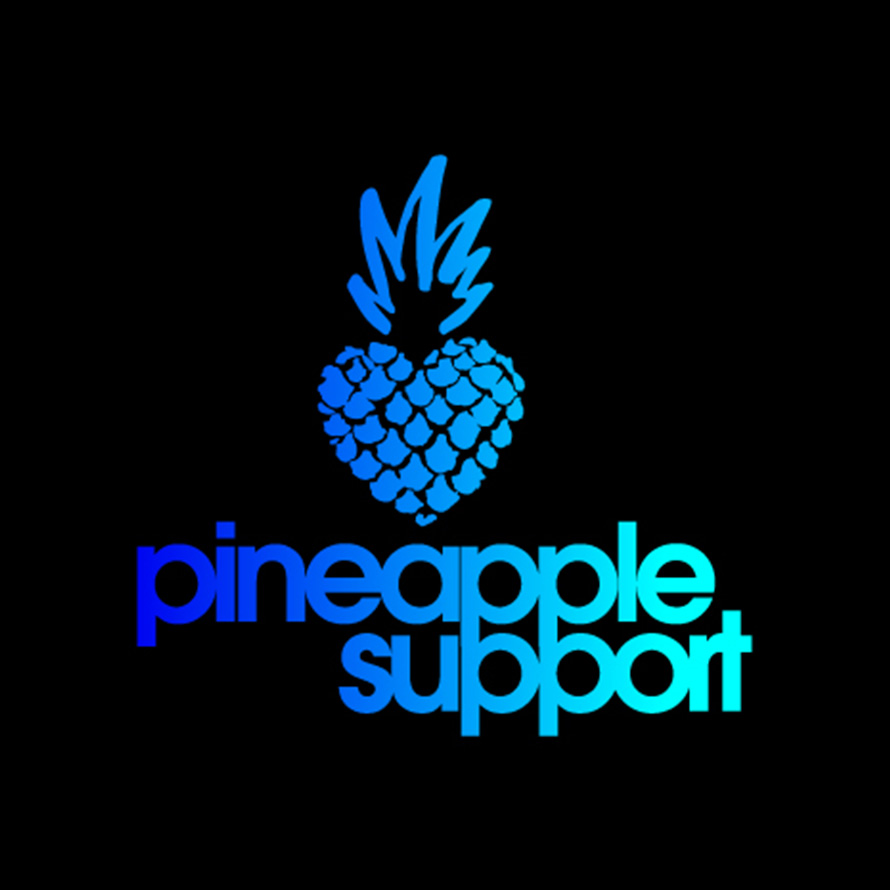 Pineapple Support logo in blue gradient lettering with a pineapple icon on a black background